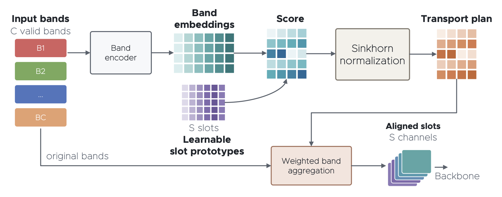 Architecture of the LLaRS multimodal remote sensing foundation model